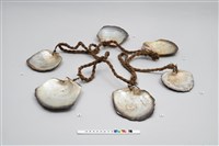 貝貨藏品圖，第4張